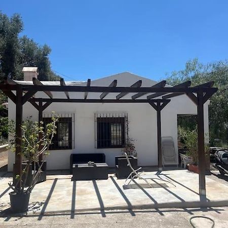 Farmhouse Surrounded By Centenary Olive Trees Olias Ngoại thất bức ảnh