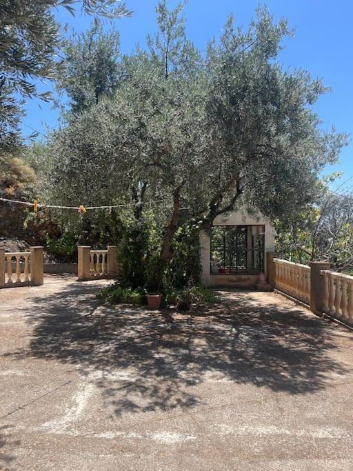 Farmhouse Surrounded By Centenary Olive Trees Olias Ngoại thất bức ảnh
